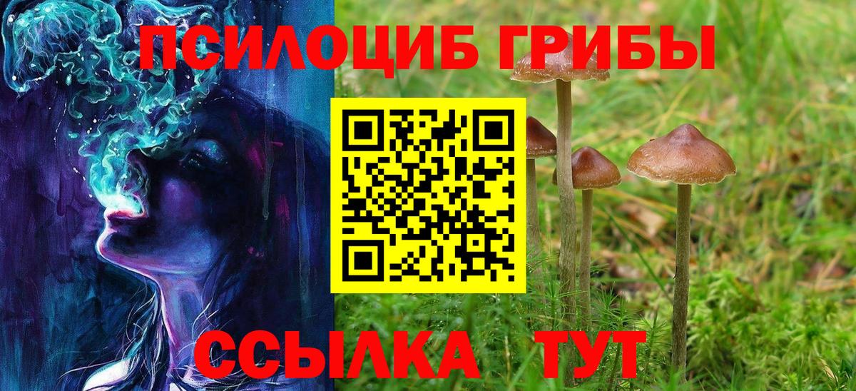Псилоцибиновые грибы Psilocybe Юрга