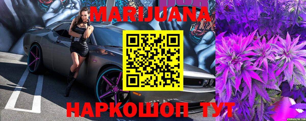 Каннабис конопля Юрга